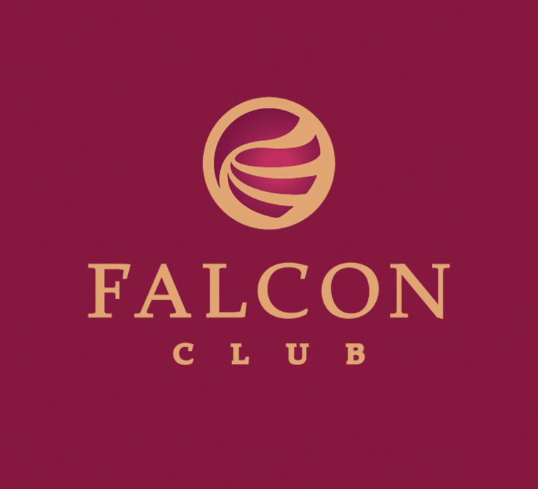 Ограничение движения в тоннеле Falcon Club с 11 по 25 ноября